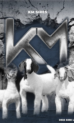 KMSires.jpg